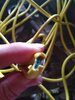 Hedge Trimmer Cable Cut Close Up.jpg