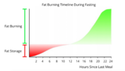 Fat Burning Graphic.png