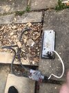 Driveway lights to remove.jpg