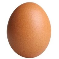 Egg80