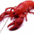Ericthelobster