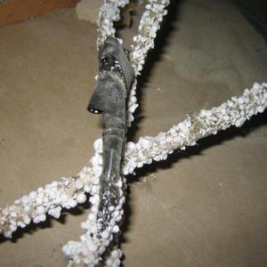 polystyrene cable attack