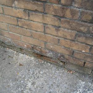 garage damp