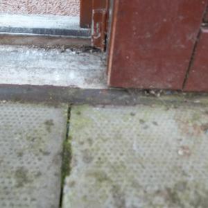 Door frame rot