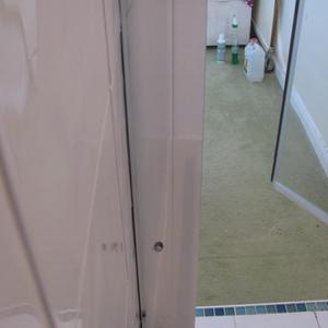 Shower door