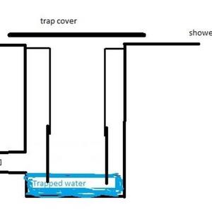 Shower trap