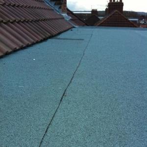 Flat Roof Query