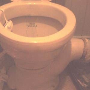 toilet