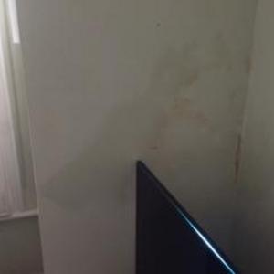 living room damp