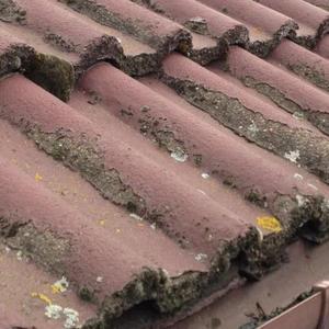 Roof coating