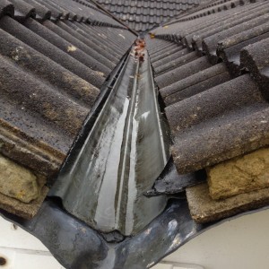 Pitched roof and box gutter
