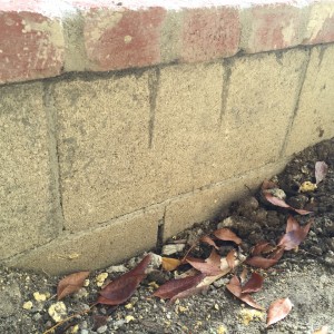 Brick flowerbed