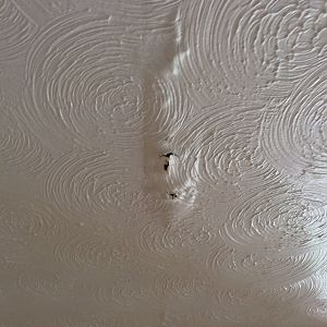 Ceiling damage