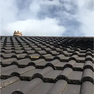 Double Roman roof