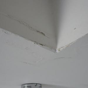 Water damaged plaster