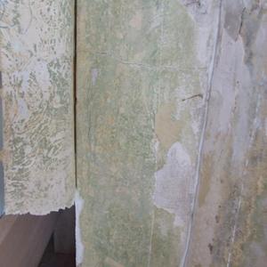 Green ON underside of wallpaper