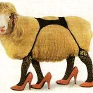 Sheep_stockings_high_20heels