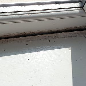 gap between window and sealant at bottom of window