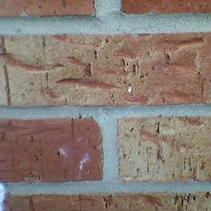 brick id.jpg