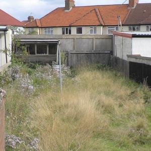 Overgrown Garden