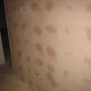 Plaster boarded walls