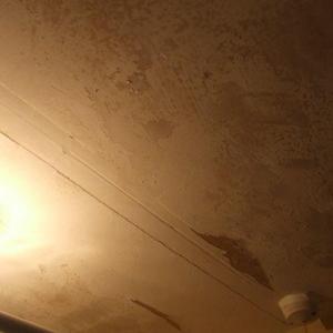 Bathroom ceiling 2