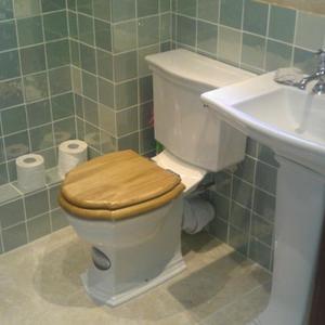 Toilet and basin. Done!