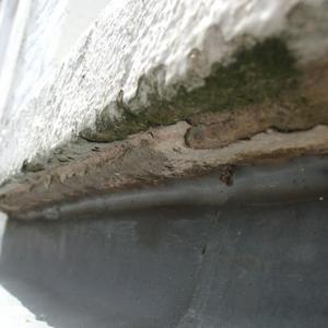 Under the Cill - Close Up