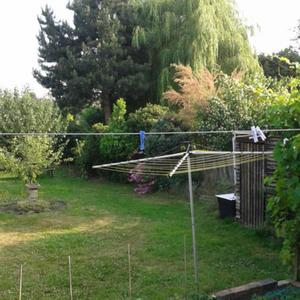 Trees in neighbouring garden