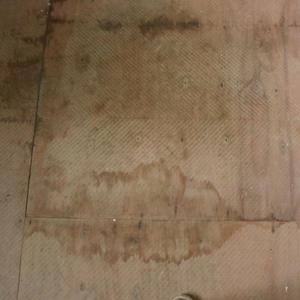 Plywood - Water Stain