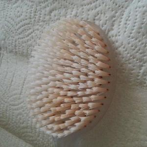 Shower/Bath brush stained