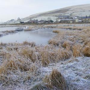 Twas a cold day at the local Res.