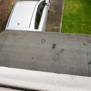 View of the flat bay roof from above
