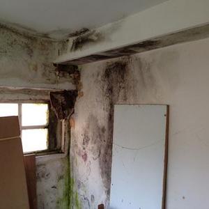 Interior Damp & Mould