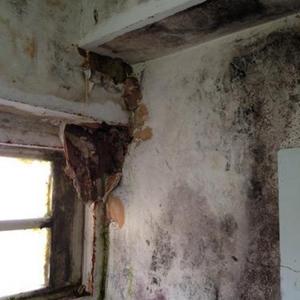 Interior Damp & Mould