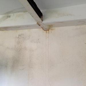 Interior Damp