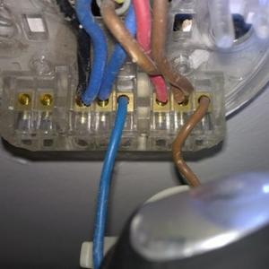 Bathroom rose wiring