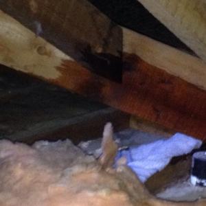 Inside attic after raining for several hours