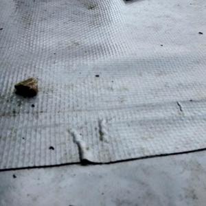 Mystery flat roofing membrane
