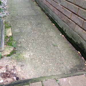 Outside wall and concrete path